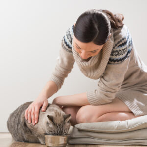 Here’s What You Should Avoid Adding to the Cat Food